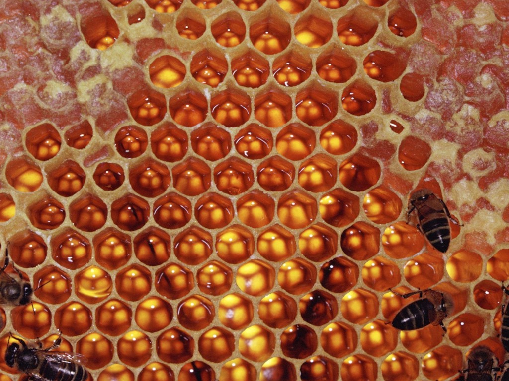 Nørå Honning